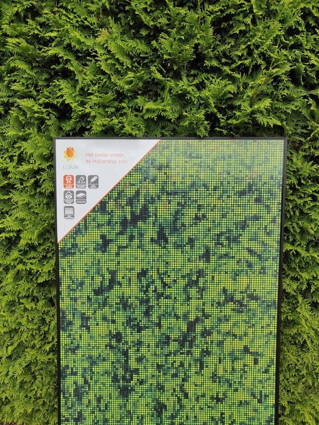 Elsun GB green detail